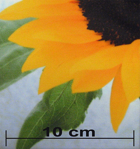 Polyglanz B1