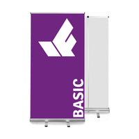 Rollup Basic 100